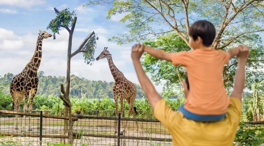シンガポール動物園